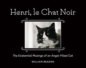 Henri, le Chat Noir The Existential Musings of an Angst-Filled Cat